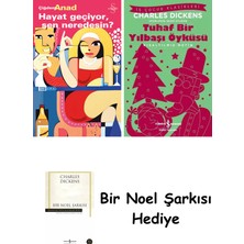 Everest Yayınları Hayat Geçiyor, Sen Neredesin? + Tuhaf Bir Yılbaşı Öyküsü + Bir Noel Şarkısı