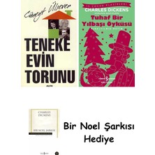 Alfa Yayınları Teneke Evin Torunu + Tuhaf Bir Yılbaşı Öyküsü + Bir Noel Şarkısı