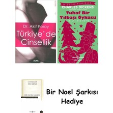 Alfa Yayınları Türkiye’de Cinsellik + Tuhaf Bir Yılbaşı Öyküsü + Bir Noel Şarkısı