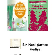 Artemis Yayınları Adım Adım Hayata + Tuhaf Bir Yılbaşı Öyküsü + Bir Noel Şarkısı