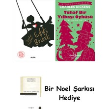 Alfa Yayınları Effi Briest + Tuhaf Bir Yılbaşı Öyküsü + Bir Noel Şarkısı