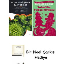 Alfa Yayınları Dost ve Düşman Bakteriler + Tuhaf Bir Yılbaşı Öyküsü + Bir Noel Şarkısı