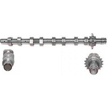 ESTAŞ Mtxdpn Eksantrik Mili Emme P206-P307-P406 1.6 Hdi 16V-FOCUS 1.6 Tdci 16V Çelik