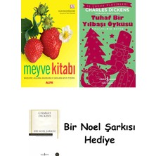 Alfa Yayınları Meyve Kitabı (Ciltli) + Tuhaf Bir Yılbaşı Öyküsü + Bir Noel Şarkısı