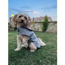 Maia Studio Nardo Gri Kaşe Köpek Kabanı-Köpekmontu