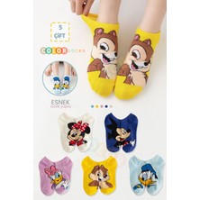 Color Socks 5'li Kadın Çizgi Karakter Patik Çorap Seti (Comfort Soft)