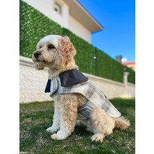 Maia Studio Grey Düğme Detaylı Gri Kaşe Köpek Kabanı