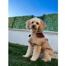 Maia Studio Latte Çift Taraflı Köpek Deri Ceket
