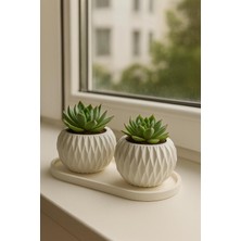 Sisay Home Geometrik Desenli 2’li Sukulent Saksısı – Dekor Seti
