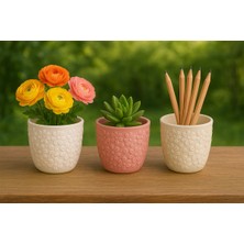 3'lü El Yapımı Dekoratif Saksılık -Handmade Taş Tozu Çiçek Tasarımlı Mumluk Kalemlik Sukulent Obje