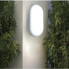 Leaf Shop Geldi Banyo Tavan Lambası Aydos 20W Oval Balkon Tavan Lambası 6400K Beyaz LED Işık Teras Duvar Lambası (Beyaz)