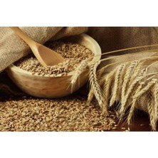 Leaf Shop Buğday 1 kg Doğal Buğday Hormonsuz Ilaçsız Buğday Tavuk Yemi Güvercin Yemi Buğday Tohumu Buğday Çimi