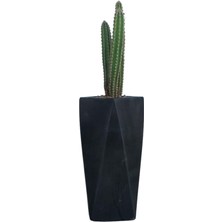 Leaf Shop Çiçek Saksısı Uzun Beton Saksı Model 1, Siyah
