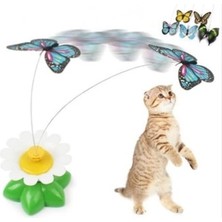 Hareketli Pilli Kelebek Kedi Oyuncağı