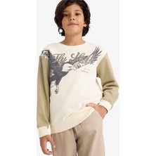 DeFacto Bisiklet Yaka Baskılı İçi Yumuşak Tüylü Sweatshirt Erkek Çocuk G5554A825CW