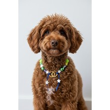 Mood Paw Köpek Kolyesi Pet Kolye Aksesuarı Dayanıklı Metal Malzeme Küçük ve Orta Irklar Için