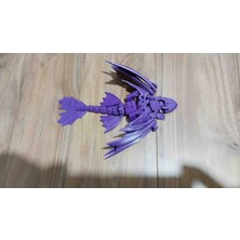 Genel Kanatlı Ejderha