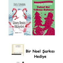 Alfa Yayınları Güney Denizi Hikayeleri + Tuhaf Bir Yılbaşı Öyküsü + Bir Noel Şarkısı