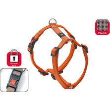 Karlıe Kilitli Göğüs Tasma S 35-50 Cm Turuncu
