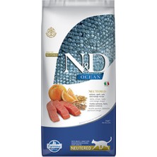 N&D Nd Ocean Somonlu Neutered Az Tahıllı Kedi Maması 10 Kg