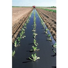 Malç Çilek Naylonu – Sera Taban Örtüsü Siyah Dayanıklı Bahçe Bitki Koruma Brandası - 1,3 M x 100 M