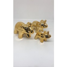 Lebron Fil Ailesi 3'lü Set Gold