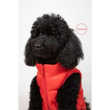 Salya Store Köpek Kıyafeti, Puffer Su Geçirmez Köpek Montu, Küçük ve Orta Irk Köpek Kıyafeti