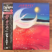 Only Japan Vinyl Journey – Dream, After Dream