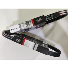Mondial 50 Hc Tt Uyumlu Powerlink (Made In France) Kayış