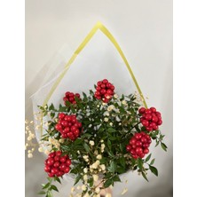 Green Deco Kokina Şans Çiçeği Cipso Aranjmanlı Beyaz Buket (6 Dal)-Yılbaşı Çiçeği -Şans Çiceği Cipso