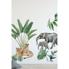 Wallhuman Amazon Duvar Stickerı