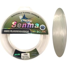 DFT Bojın Senma %100 Fluorocarbon 100 M 0.22 mm Misina