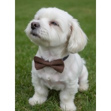 Balkonda Köpek Papyon Boyun Tasması Hakiki Süet Çıtçıtlı Ayarlanabilir Küçük ve Orta Irk