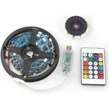 Ronanna Buğz Rgb Şerit LED Iç Mekan Palmiye Model