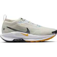 Nike W Pegasus Traıl 5 Gtx Koşu Ayakkabısı