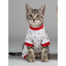 Kemique Berry Kedi Tulumu | Pamuklu Penye Kedi Kıyafeti | Küçük Irklar Için | Tüy Dökülmesini Azaltır