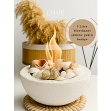 Iskandinav Masaüstü Şömine – Bioethanol Dekoratif Ateş Çukuru, Kokudan ve Dumandan Uzak Modern Rustik Şömine Istiridye Detay