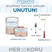 Bianca Stella Maximo Solvent Bazlı Yeni Nesil Sıvı Cam (Maximum Direnç) 0,5 Lt ( Maximo + İpek Fırça + Parmak Rulo Seti )