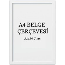 Kitabevimden Ekstrafix Çerçeve A4 22 Li Beyaz FIX-ÇB04