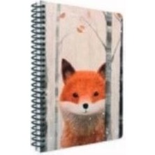 Kitabevimden Gıpta Sneak Peek Spiralli Karton Kapak Defter A4 80 Yp Kare.