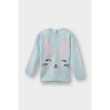 DeFacto Kız Bebek Bisiklet Yaka Tavşan Baskılı Triko Kazak F2632A525WN