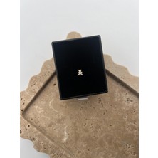 Tep's Jewellery Taşlı Gümüş Ayıcık Tragus
