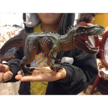 Storemax Lrs Store T-Rex Süper Gerçekçi Dinazor Trex Figür 30 cm Kapanıp Açılabilen Ağız Hediye Oyuncak Dinozor, Çok Renkli