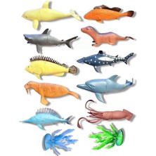 Storemax 2007C Poşette Deniz Hayvanları 12 Parça