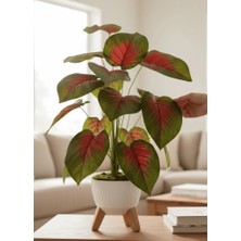 Nettenevime Yapay Çiçek Salon Bitkisi Kızıl Difenbahya 70CM 18 Yaprak Beyaz Zigon Saksıda