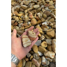 Ahs Sarı Çizgili Rainbow Dolomit Çakıl Taşı 4-8 cm 2 kg Dekoratif Bahçe Peyzaj Saksı Akvaryum Teraryum