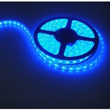 Noas 12V 4040 Iç Mekan Mavi Işık Şerit LED 10 Metre