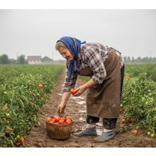 Eşya Dünyası Silikon Ayakkabı Kılıfı Koruyucu – Kaymaz Tabanlı Su Geçirmez M Beden (Siyah / Beyaz)