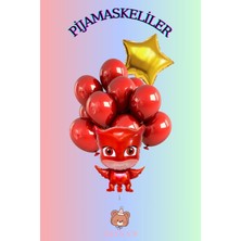 Zayna's Pijamasskeliler Temalı Baykuş Kız Karakter Folyo Balon Seti Yıldızlı