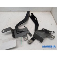 IAG Clio Kaput Menteşesi Sağ Hatchback 2012- Oem No (654008394R)